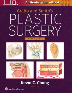 Grabb aGrabbnd Smith’s Plastic Surgery, 9th edition (Videos Only)