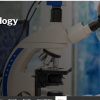 Harvard Dermatopathology Update 2024