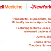 Transorbital, Supraorbital, and Endonasal 3 MIS Approaches to the Skull Base 2023